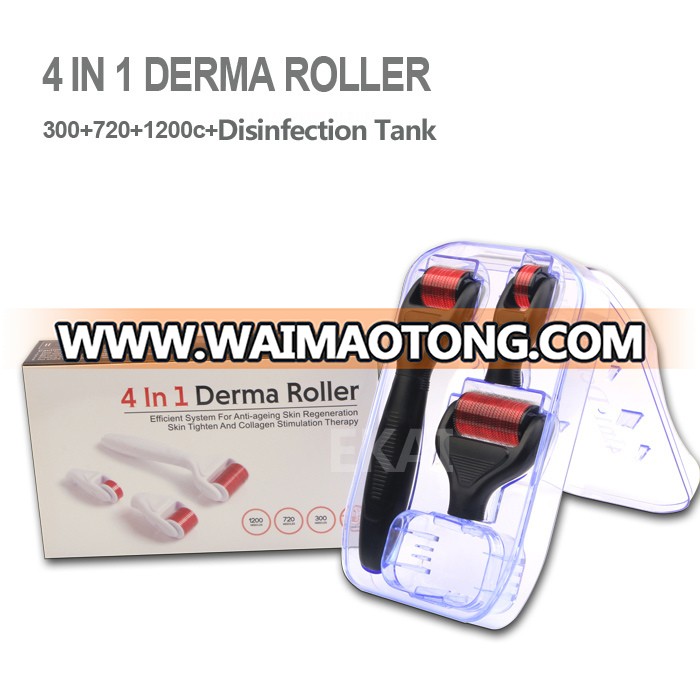 Drs 4 in 1 Derma Roller Bottom Price